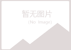 山阳区夏彤水泥有限公司